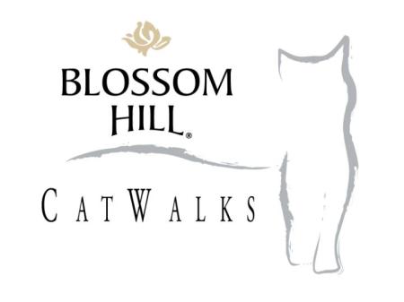 Blossom Hill Catwalks